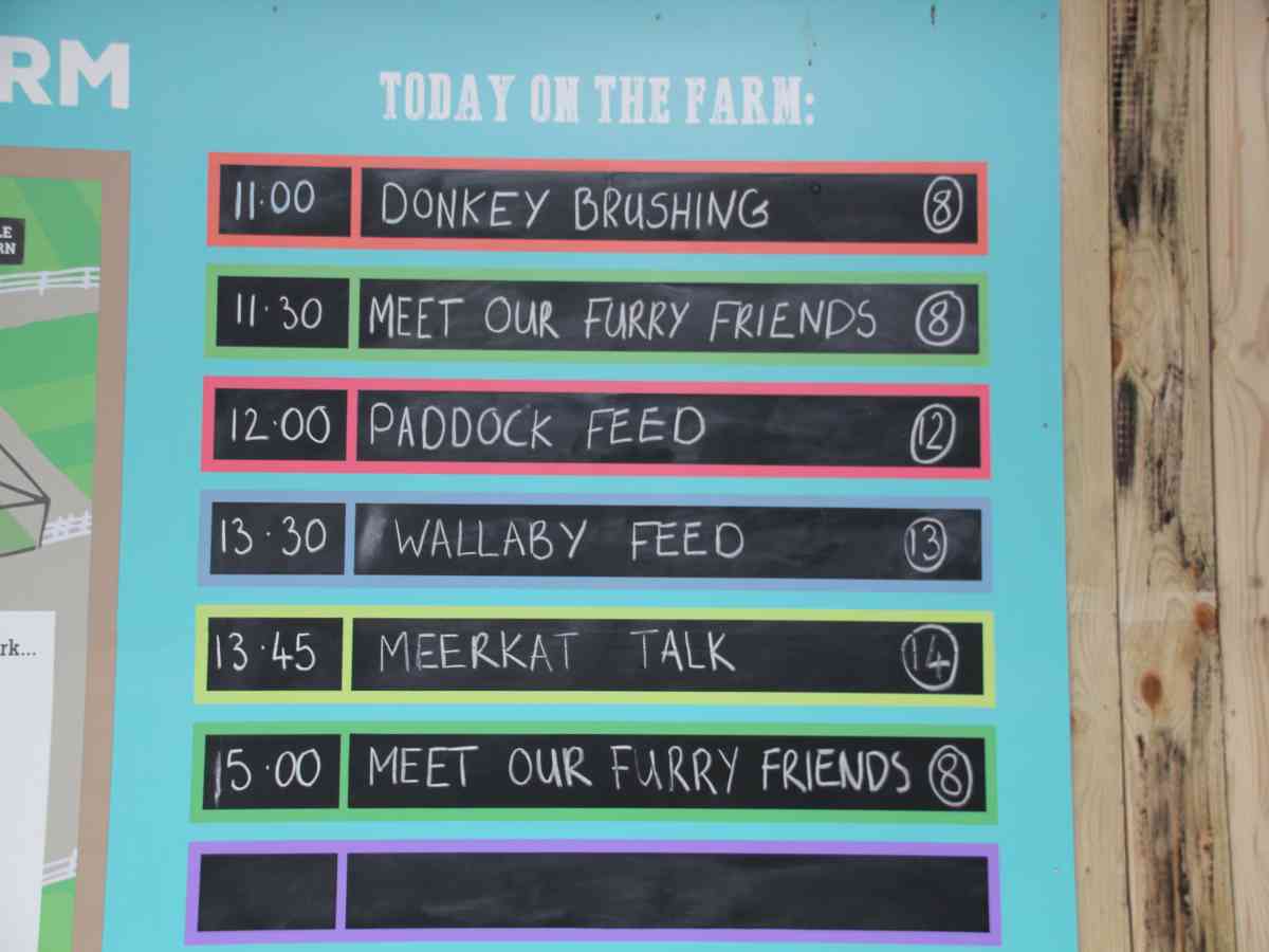 Tapnell Farm Park picture gallery